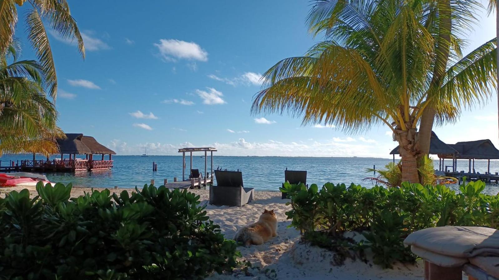 Cancun Private Apartment מראה חיצוני תמונה